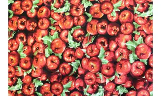 Tissu pommes en peinture