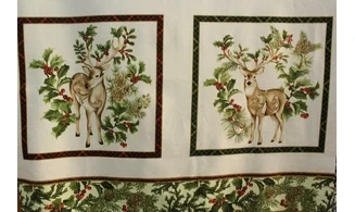 Cadres Rennes des houx