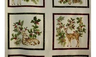 Cadres Rennes des houx