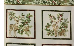 Cadres Rennes des houx