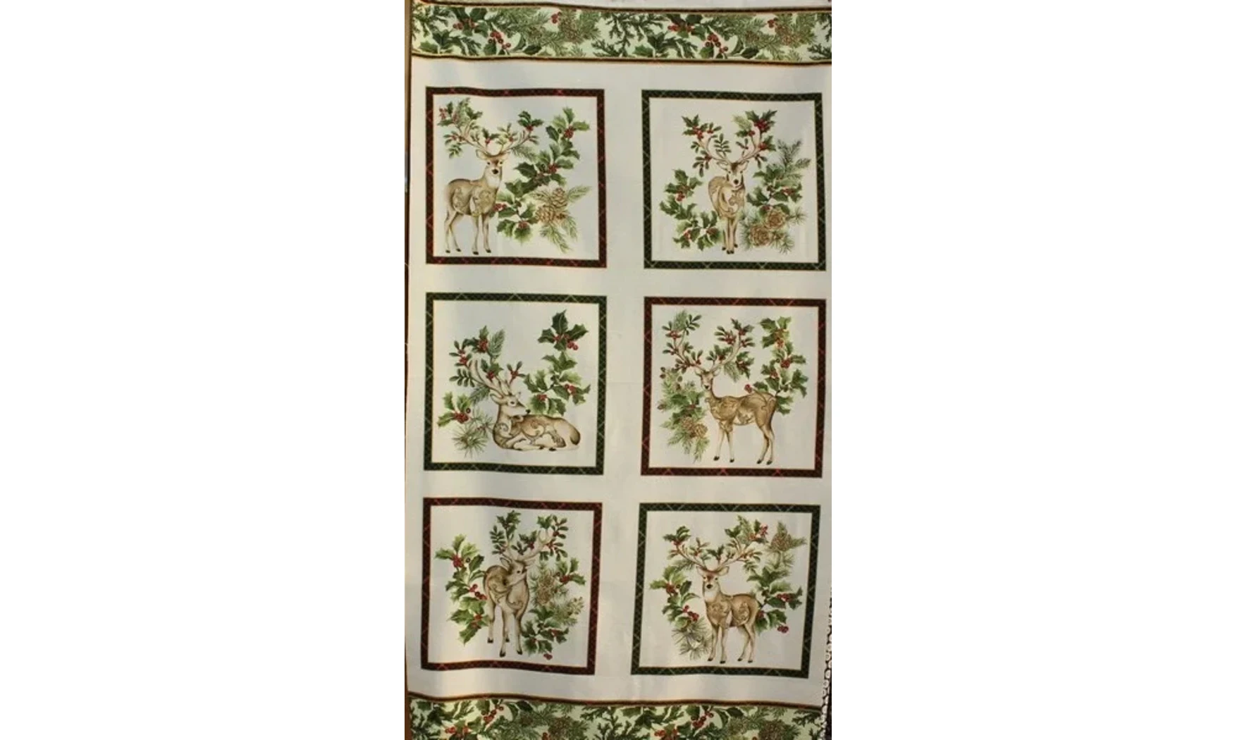 Cadres Rennes des houx