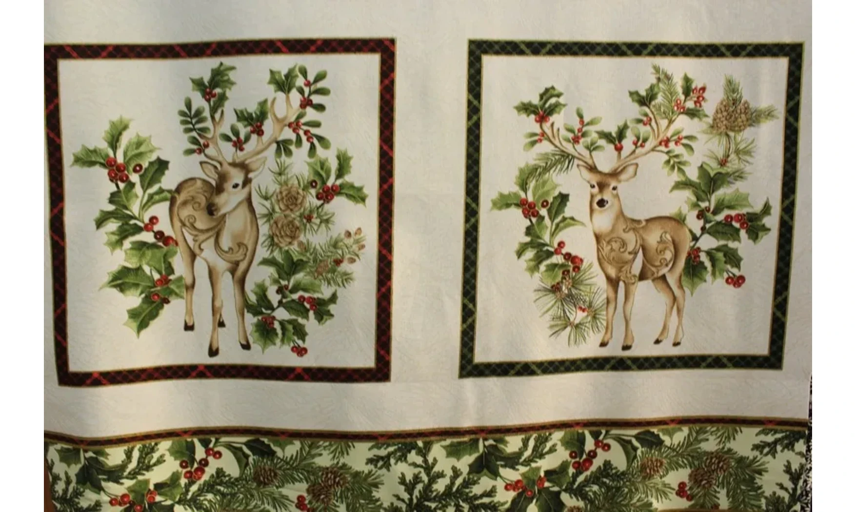 Cadres Rennes des houx