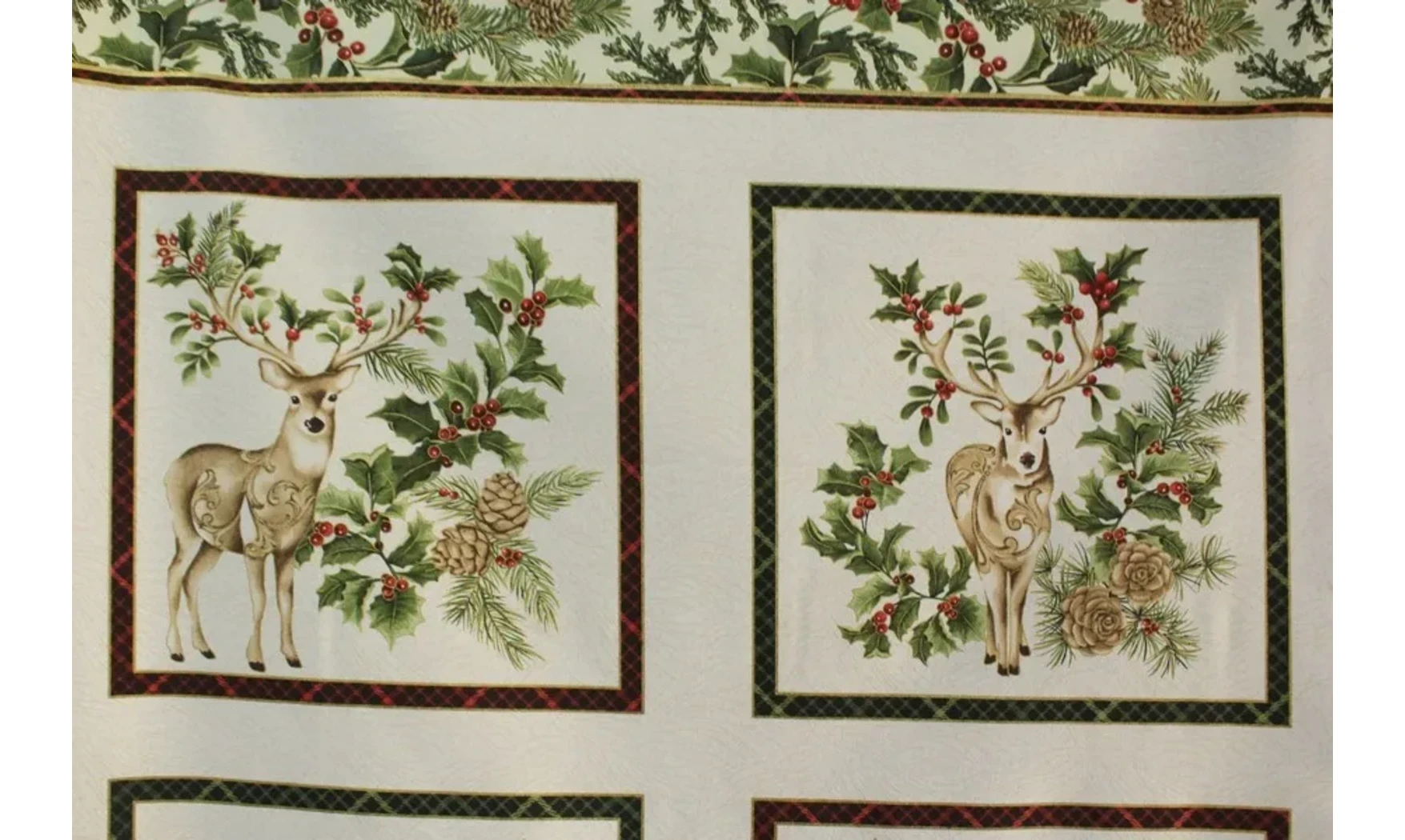 Cadres Rennes des houx