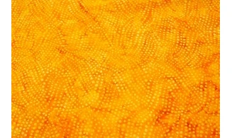 Batik vent de points - gold