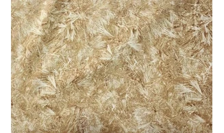 Tissu aiguilles de pin