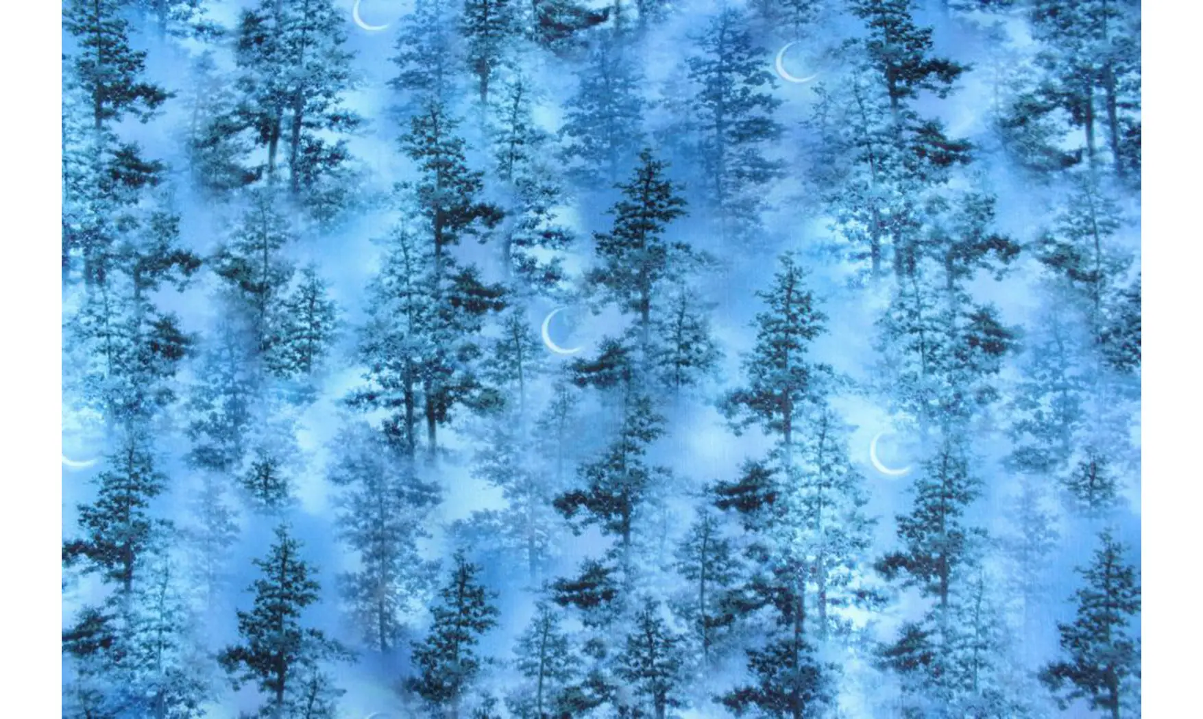 Tissu forêt dans la nuit