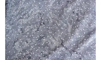 Batik gris confettis