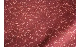 Tissu bordeaux reflets
