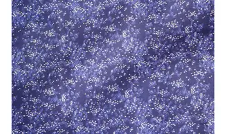 Tissu bleu foncé reflets