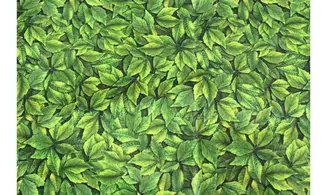 Tissu feuillage vert
