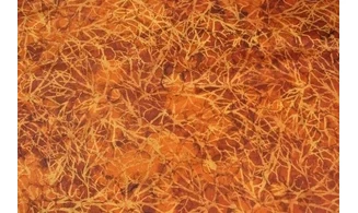 Tissu brise d'automne