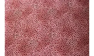 Tissu Aiko's Garden tacheté