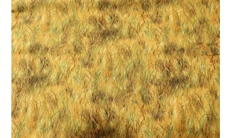 Tissu herbe en automne