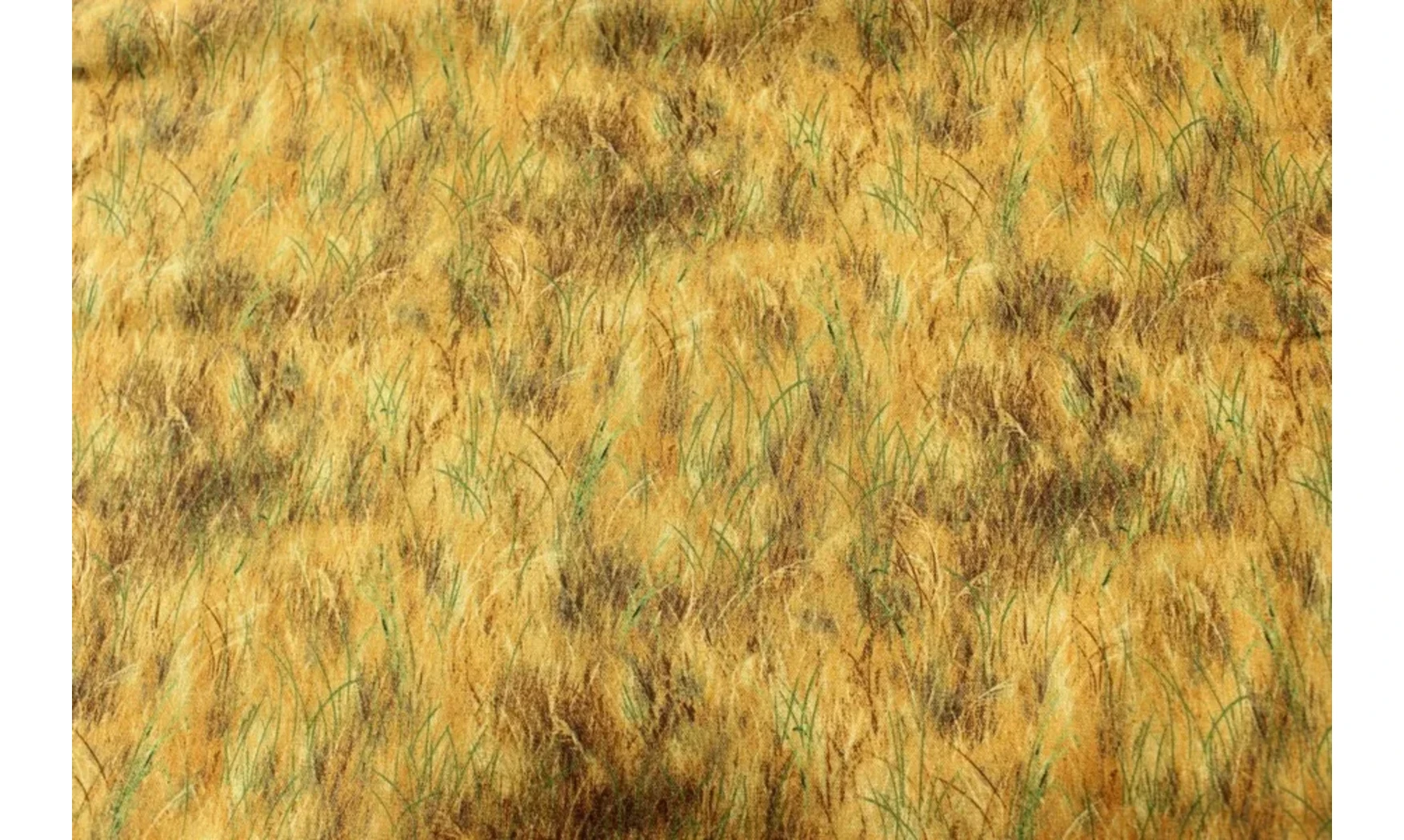 Tissu herbe en automne