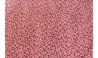 Tissu Aiko's Garden points