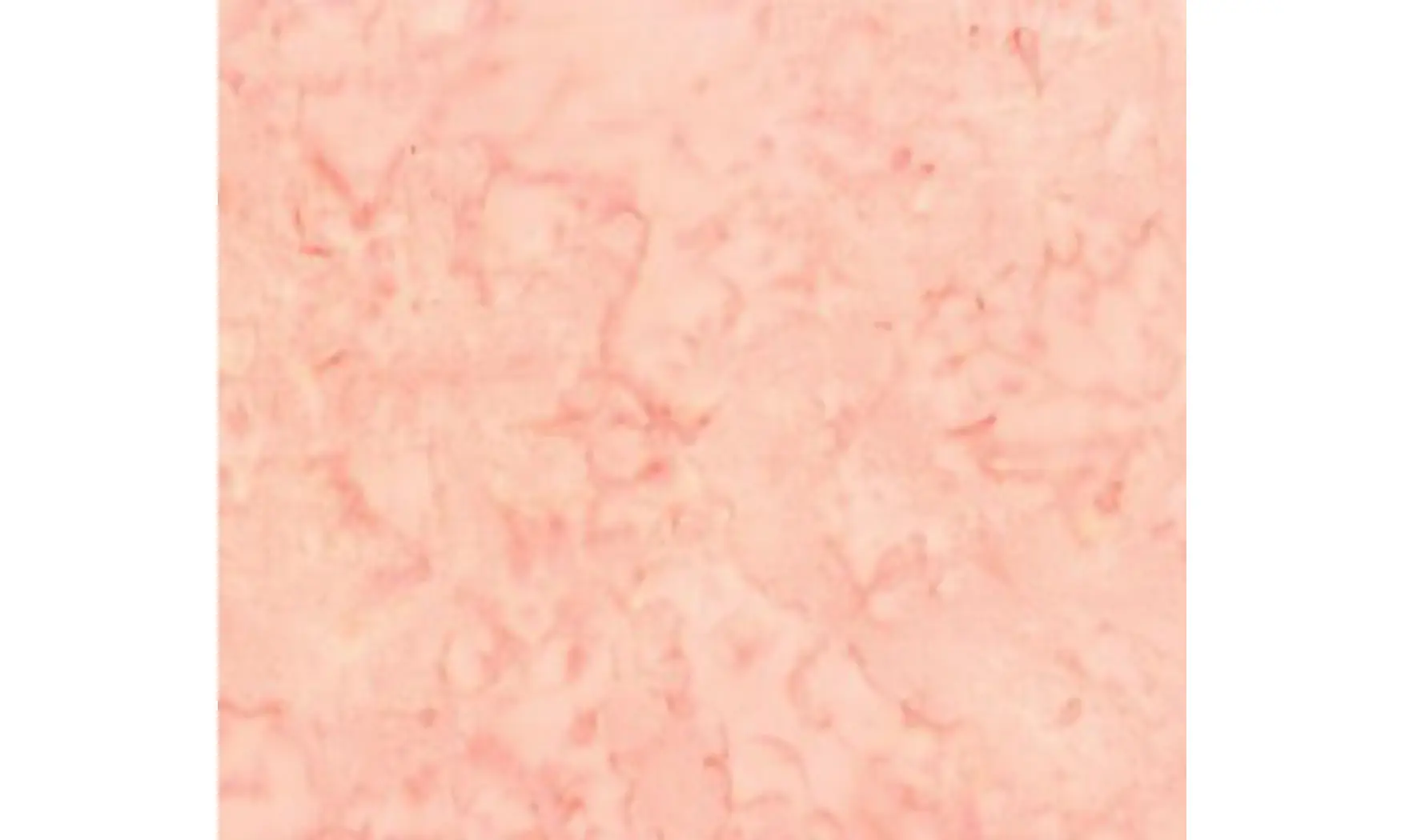 Batik glace à la crème