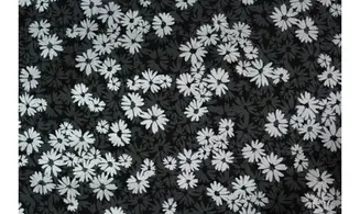 Tissu noir et argent flowers S&S