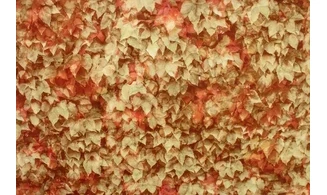 Tissu brise d'automne