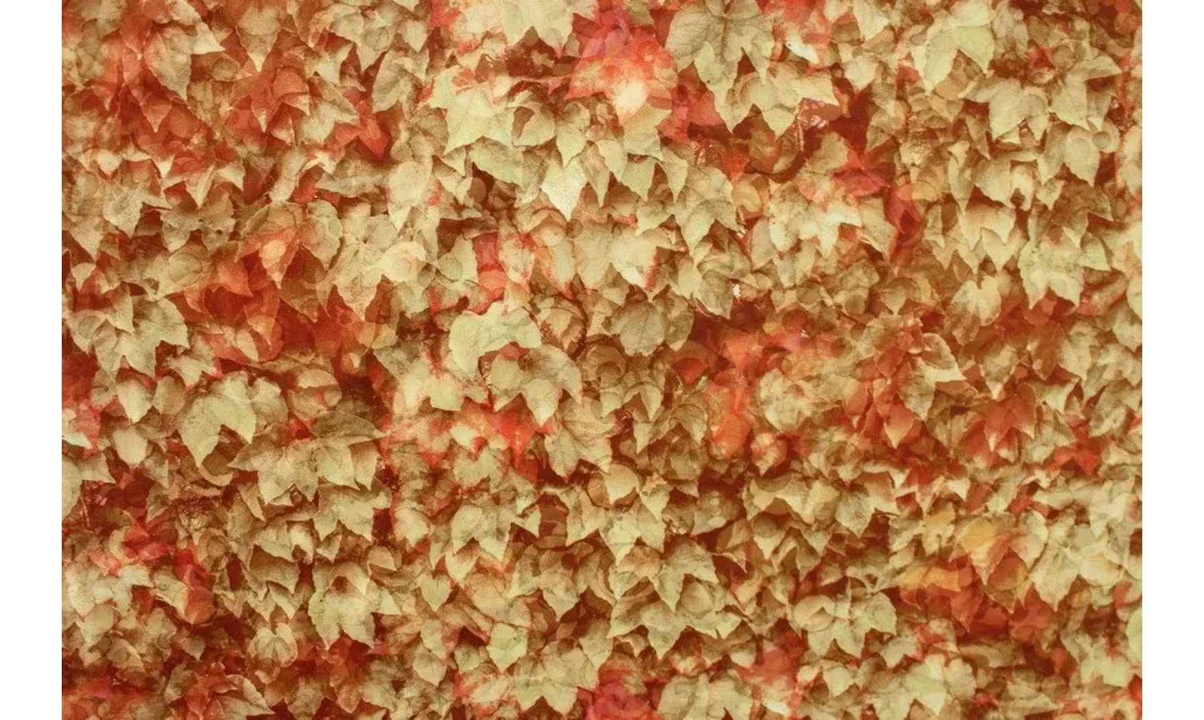 Tissu brise d'automne