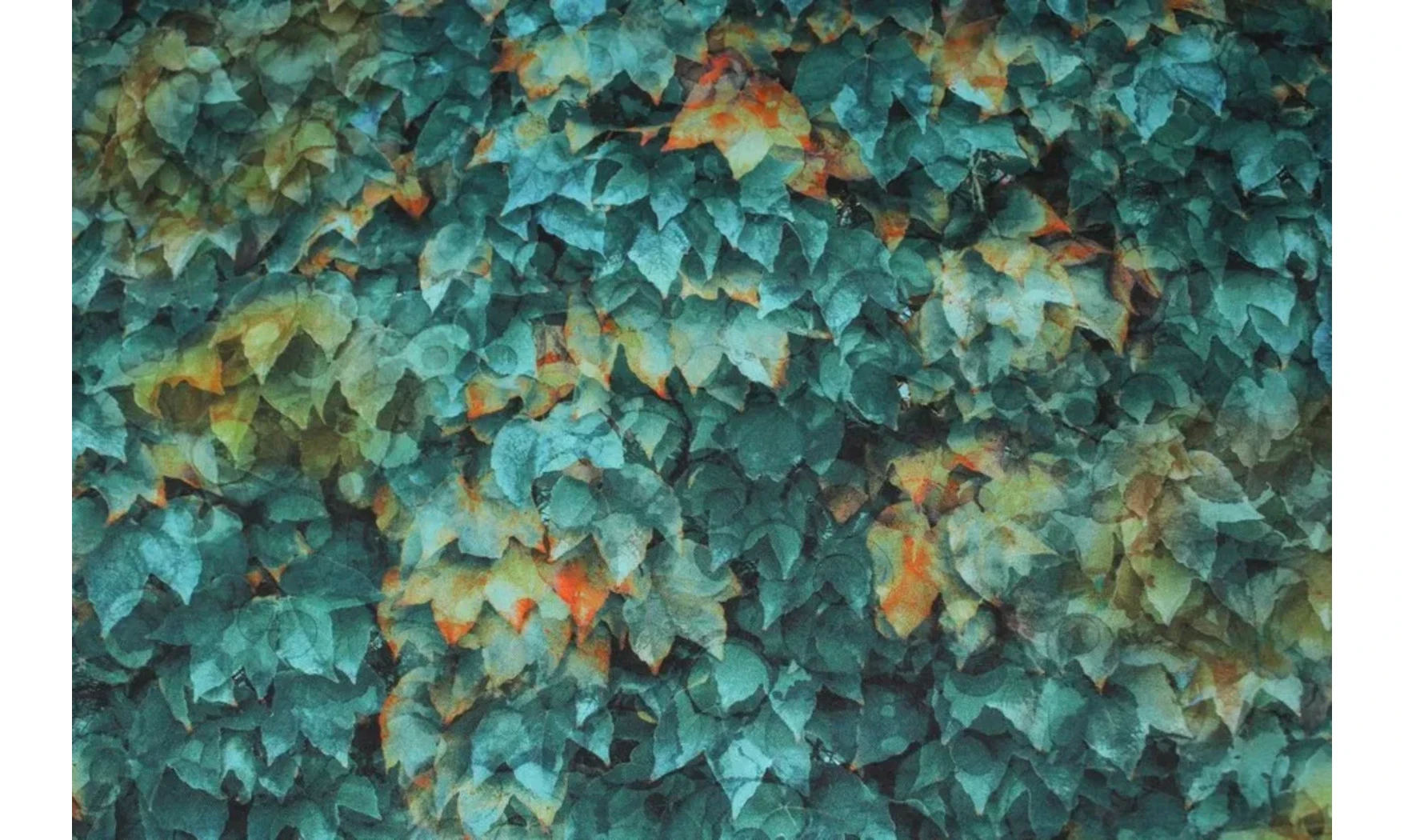 Tissu brise d'automne