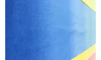 Tissu transition Roy