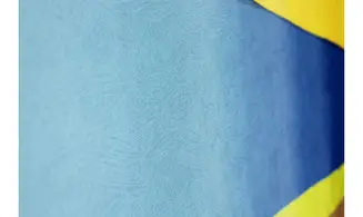 Tissu transition Roy