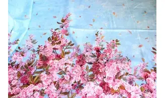 Tissu sakura blooms