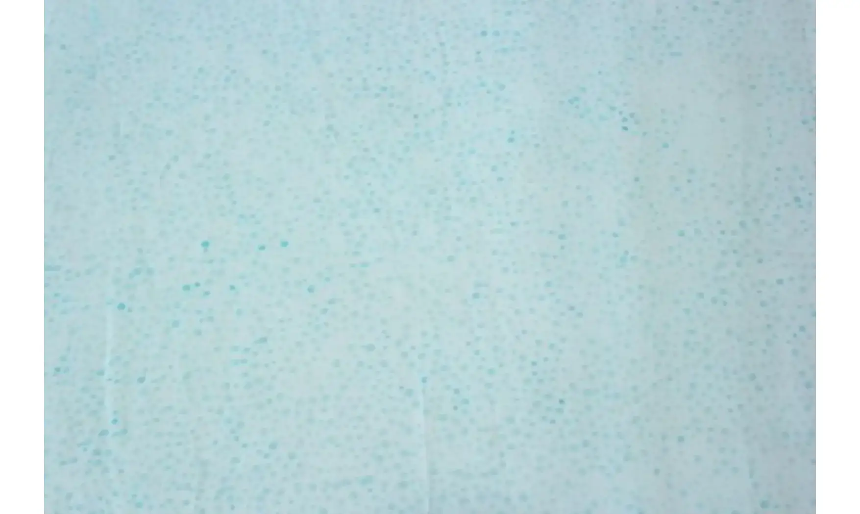 Batik pointillisme aquarius