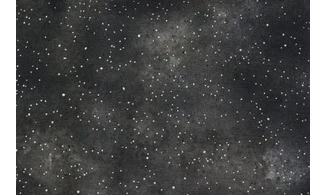 Tissu Hue noir argent