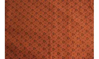 Tissu country Street