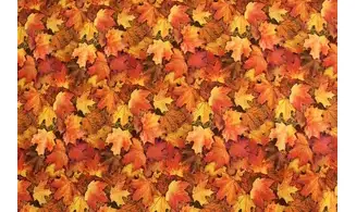 Tissu feuilles d'automne