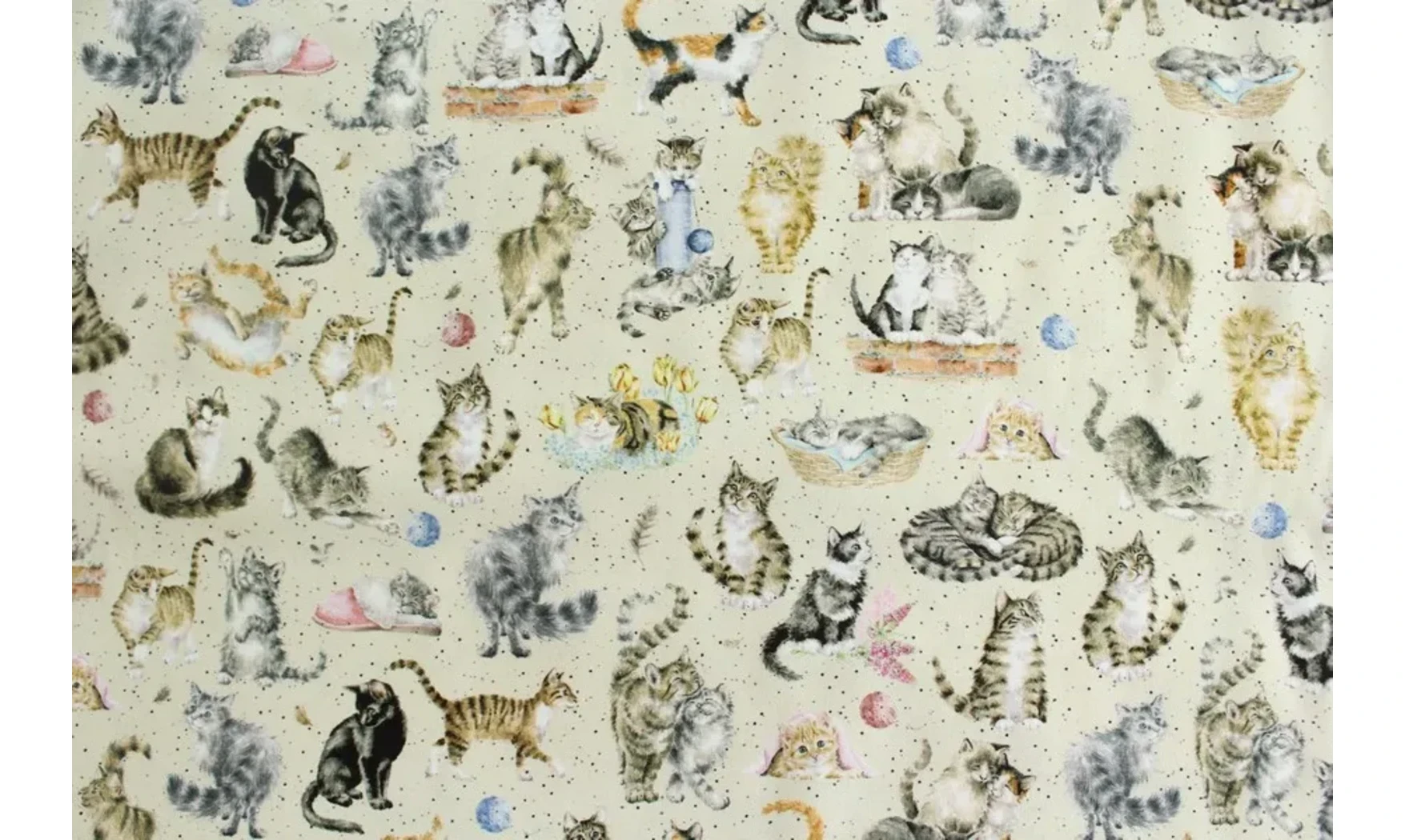 Tissu pattes et moustaches