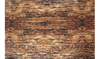 Tissu écorce d'arbre brown