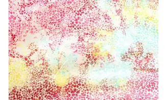 Batik fleurettes multi