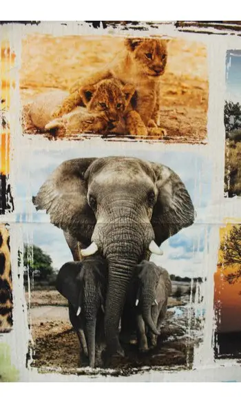 Panneau Afrique numérique