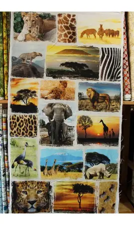 Panneau Afrique numérique