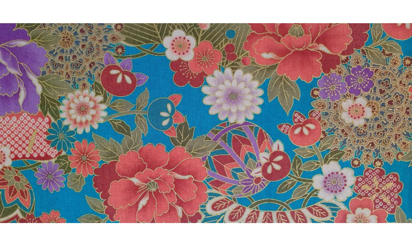 Kaléi Japonais bleu canard