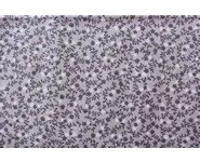 Tissu Lecien violet fleurettes