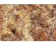 Batik design automnal