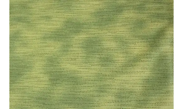 Tissu lignes japonaises vert